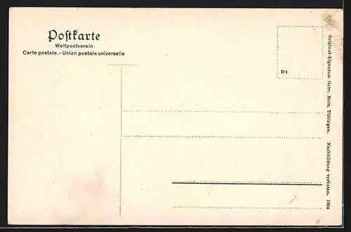 AK Wildbad / Württ., Anlagepartie mit Enz