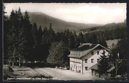 AK Eisenstein, Gasthaus-Pension Neuwaldhaus E. Grünert