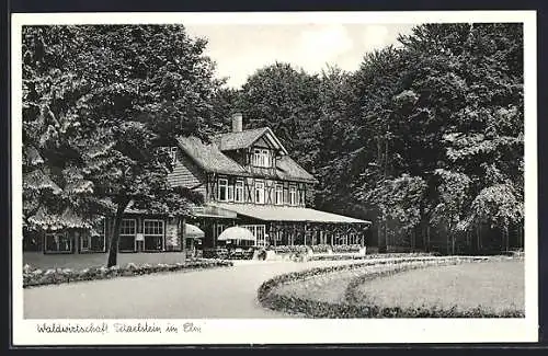 AK Königslutter, Gasthaus Waldwirtschaft Tetzelstein mit Zufahrt