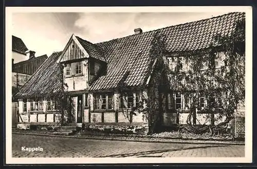 AK Kappeln / Schlei, Altes Haus mit Bewohnerin