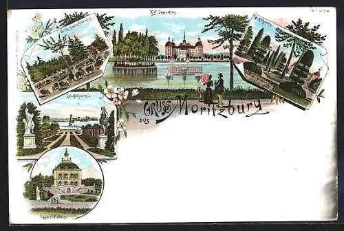 Lithographie Moritzburg / Sachsen, Kgl. Jagdschloss, Wildschweinfütterung, Fasan-Palais