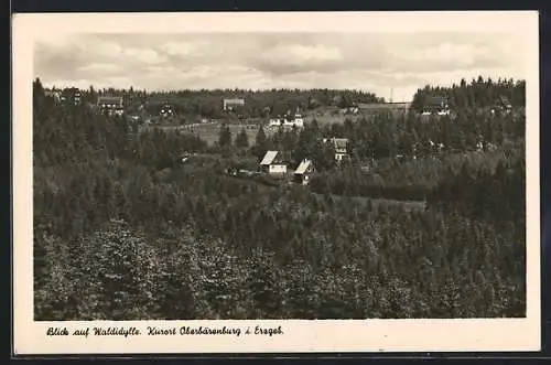 AK Oberbärenburg i. Erzgeb., Blick auf Waldidylle