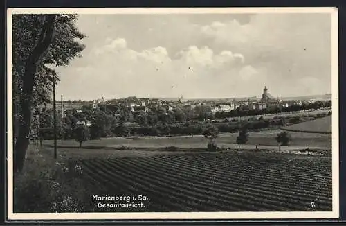 AK Marienberg i. Sa., Gesamtansicht