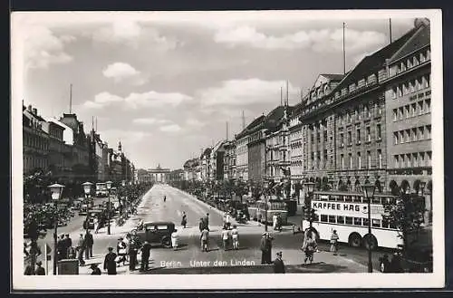 AK Berlin, Unter den Linden, Strassenpartie, Auto