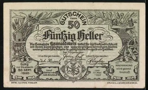 Notgeld Haunoldstein 1920, 50 Heller, Stadtansicht und florales Motiv