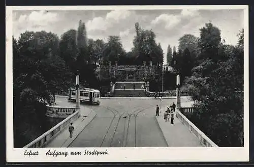 AK Erfurt, Strassenbahn am Aufgang zum Stadtpark