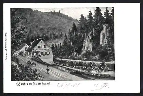 AK Raumünzach, Gasthaus zum grünen Baum, Strassenpartie mit Bergen und Wald