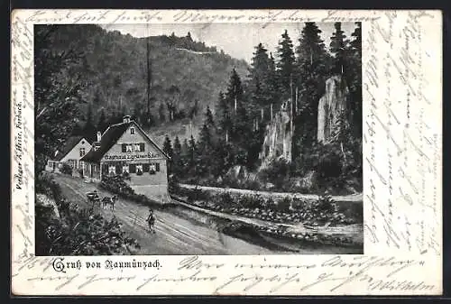 AK Raumünzach, Gasthaus zum grünen Baum, Strassenpartie mit Bergen und Wald