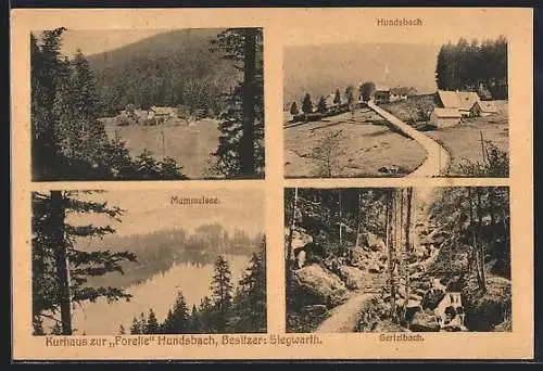 AK Hundsbach / Schwarzwald, Kurhaus zur Forelle, Mummelsee und Gertelbach