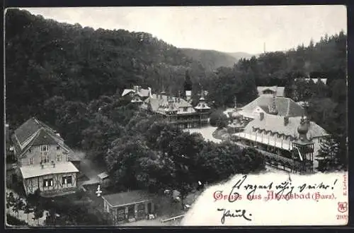 AK Alexisbad, Blick auf das Hotel