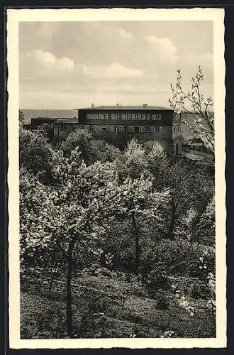 AK Zwingenberg / Bergstrasse, Blick auf die Jugendherberge an der Bergstrasse im Odenwald