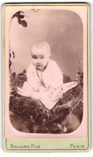 Fotografie Bacard Fils, Paris, Boulevard Bonne Nouvelle 31, Porträt eines Kleinkindes in einem Nest sitzend