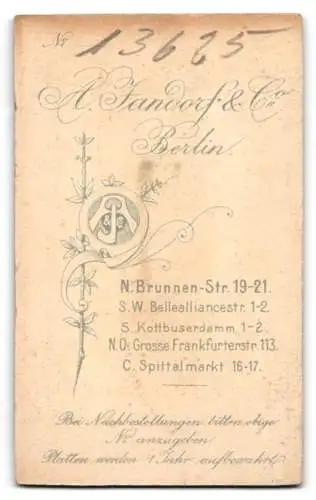 Fotografie A. Standorf & Co, Berlin, Brunnen-Str. 19-21, Porträt eines Kleinkindes