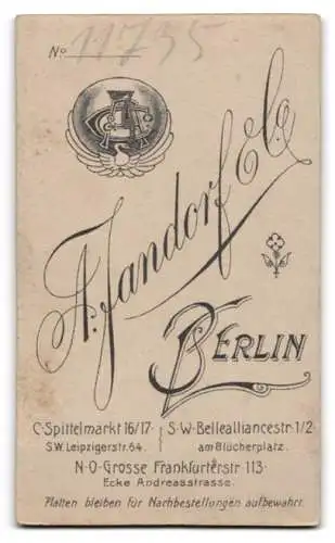 Fotografie A. Jandorf &amp Co., Berlin, Spittelmarkt 16 /17, Porträt eines jungen Mannes