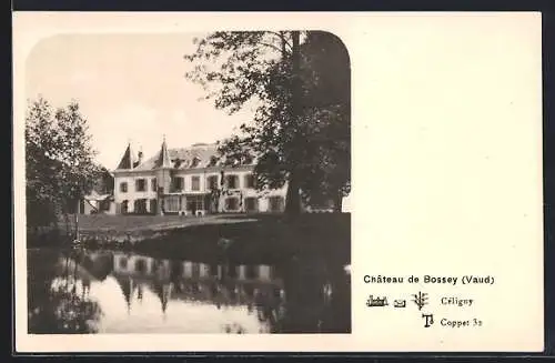 AK Coppet /Vaud, Château de Bossey