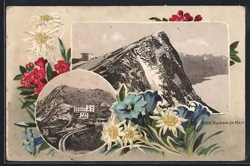 Lithographie Rochers de Naye, Ortspartie mit Bergbahn, Gebäude mit Gipfel, Bergblumen