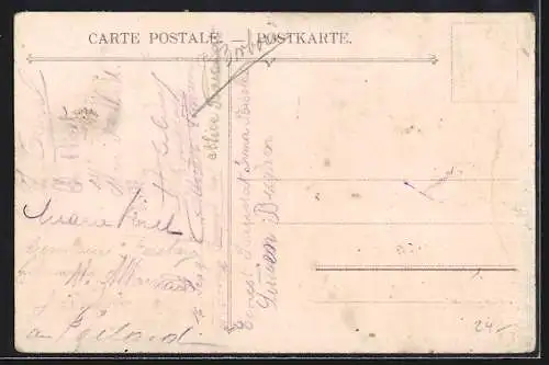 Lithographie Rochers de Naye, Ortspartie mit Bergbahn, Gebäude mit Gipfel, Bergblumen