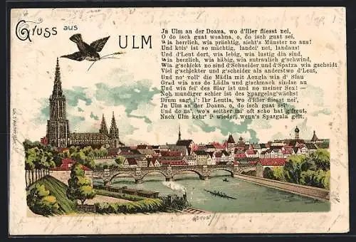 Lithographie Ulm / Donau, Teilansicht mit Münster und Spatz