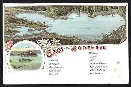 Lithographie Insel Mainau, Gesamtansicht vom Bodensee