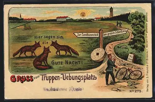 AK Neuhammer / Truppen-Übungsplatz, Hier sagen sich die Füchse Gute Nacht!, Wegweiser Sandkuranstalt & Schleifstein