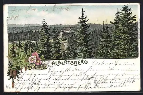 Lithographie Albertsberg, Blick auf den von Wald umgebenen Ort