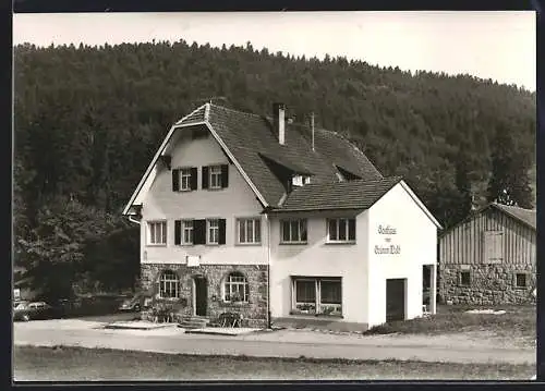 AK Erbersbronn im Schwarzwald /Gaggenau, Gasthaus zum grünen Wald von Olga Benz