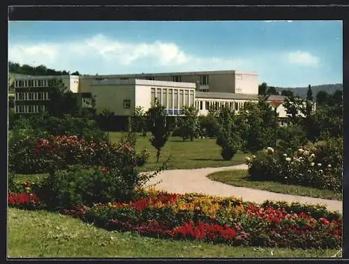 AK Neckarsulm, Städtische Anlagen und Gymnasium