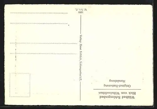Künstler-AK Wildbad Schlangenbad, Blick vom Wilhelmsfelsen