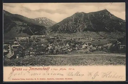 AK Immenstadt i. bayr. Allgäu, Teilansicht mit Bergen