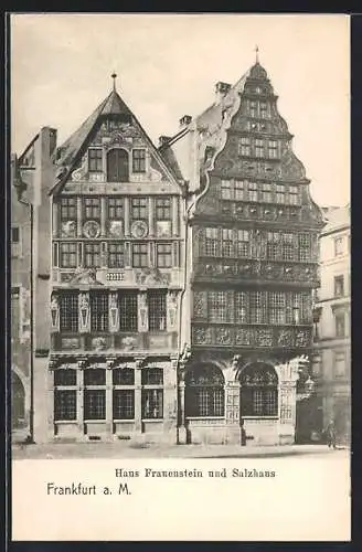 AK Alt-Frankfurt, Haus Frauenstein und Salzhaus