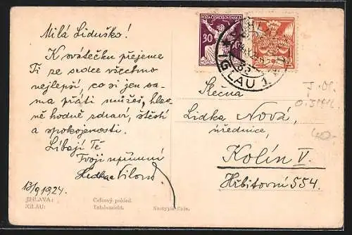 AK Jihlava / Iglau, Celkovy pohled, Totalansicht