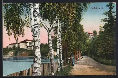 AK Ledec n. S., Strassenpartie mit Burg