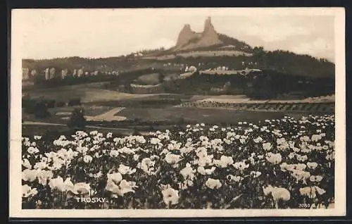 AK Trosky, Panorama mit Burgruine