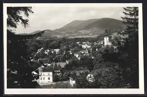 AK Roznov p. Radh., Panorama