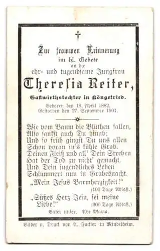 Sterbebild Theresia Reiter (1882-1901), Gastwirtstochter aus Köngetried