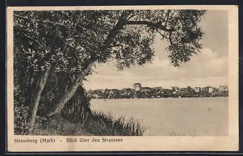 AK Strausberg /Mark, Blick über den Strausee