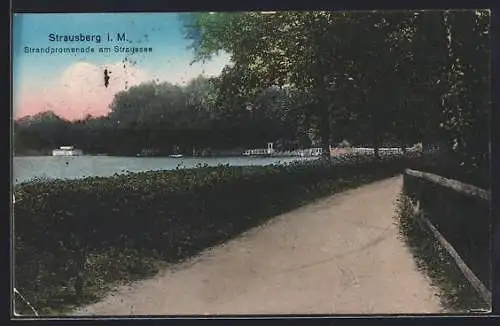 AK Strausberg i. M., Strandpromenade am Straussee