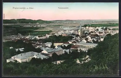 AK Freienwalde a. Oder, Blick über die Dächer