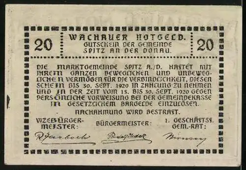 Notgeld Spitz an der Donau 1920, 20 Heller, grünes Rautenmuster, Gültigkeitstext