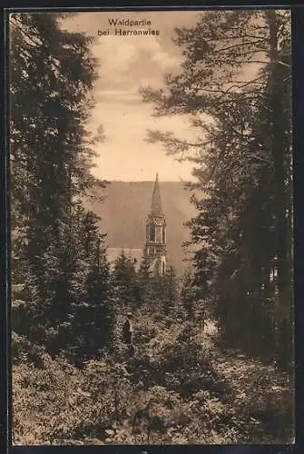 AK Herrenwies, Waldpartie mit Blick zur Kirche