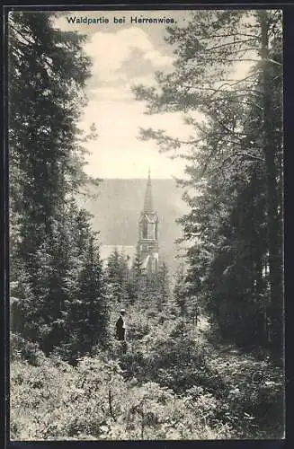 AK Herrenwies, Waldpartie mit Blick zur Kirche