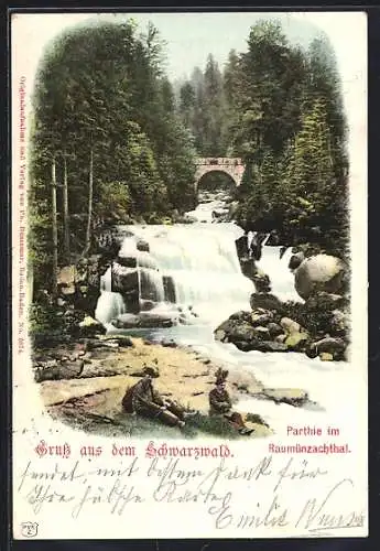 AK Raumünzachthal /Schwarzwald, Wasserfall mit zwei Besuchern