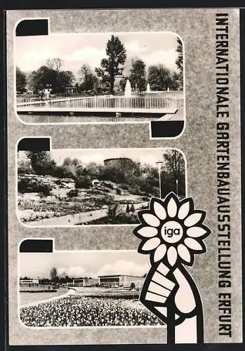 AK Erfurt, Internationale Gartenbau-Ausstellung 1961, Ausstellungsgelände