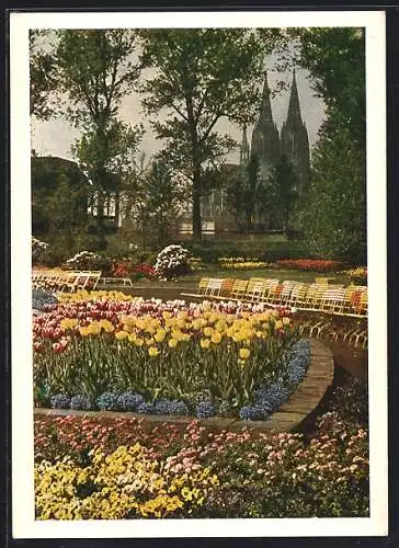 AK Köln, Bundesgartenschau 1957, Blumen um den Kölner Dom