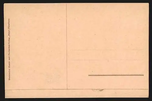 AK Mannheim, Haupt-Bahnhof, Strassenbahn, Fahnen, Anlagen