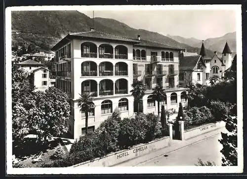 AK Locarno, Hotel Camelia