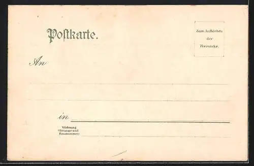 Lithographie Neuen-Dettelsau, Diakonissen-Mutterhaus, Erholungshaus und Jakobsruhe