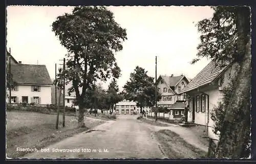 AK Eisenbach / Schwarzwald, Strassenpartie mit Bäumen