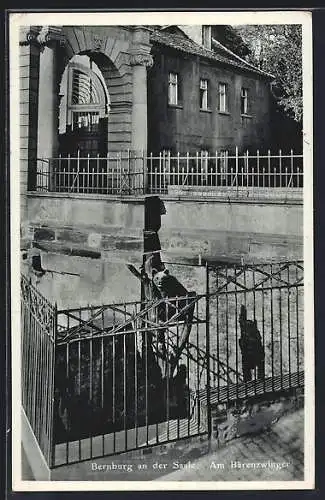 AK Bernburg an der Saale, Am Bärenzwinger