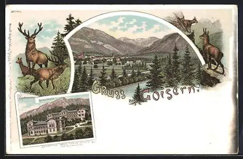 Lithographie Goisern, Panorama mit Bergen, Hirsch und Gemse, Erzherzogin Marie Valerie-Schwefel Bad u. Restauration